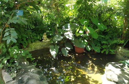 Quintal do Contêiner em Manguinhos - Photo 83