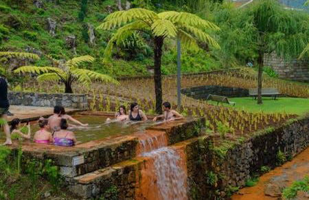 Margarida House - Stone Apartment - Photo 43