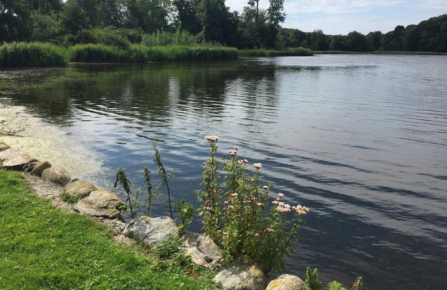 7 Person Holiday Home in Svendborg - Foto 35