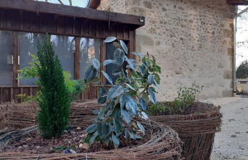 Le gîte de la cabane de l'oiseau - Foto 12