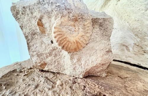 Charming modernized country cottage Near Mere, Wiltshire - Foto 16