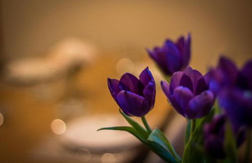 Quarry Loft - Foto 20