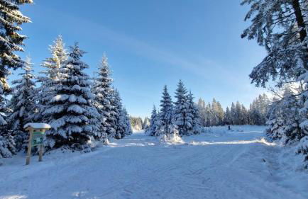Ferienhaus am Erzgebirgskamm - Foto 34