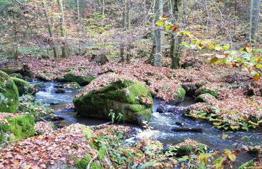 Berghof Studio Haus Rachel mit Pool - Foto 14