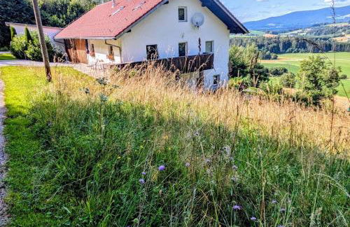 Ferienwohnung Waldhauser - Foto 11