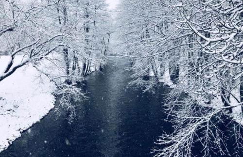 Welcoming Bungalows in Neustadt - Foto 80