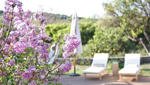 Archontiko tis Irinis - Foto 3, Garden, sunbed