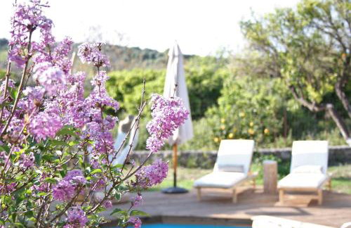 Archontiko tis Irinis - Foto 3