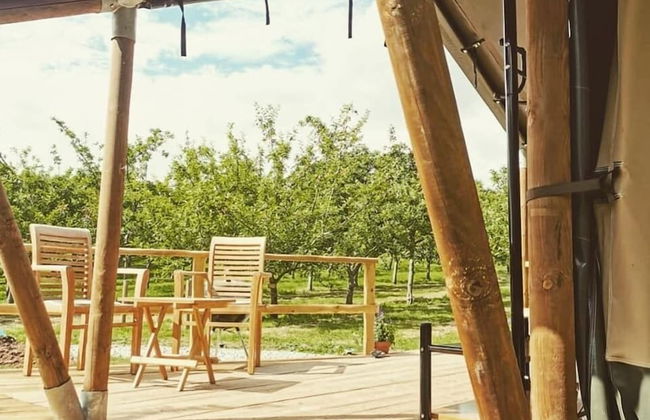 Torre Cider Farm - Foto 33