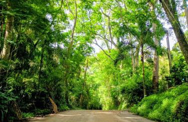 Vila Bamboo secretário - Foto 3