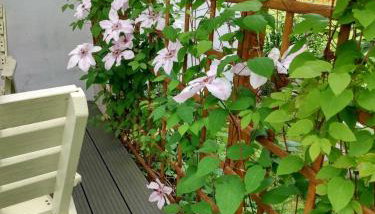 Kamienna Chata - Foto 2