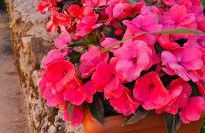 CASA AMELIA - Foto 39