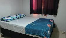 Lotus ao lado do Hu - Foto 4