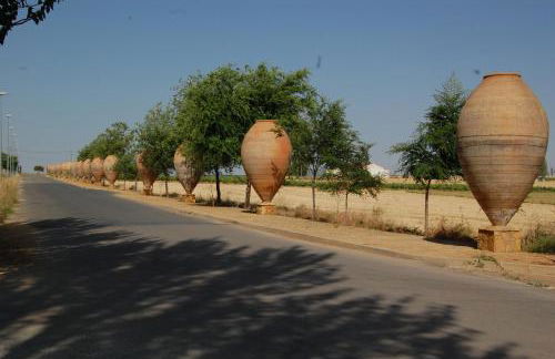 Casas Rurales Los Teatinos - Foto 72