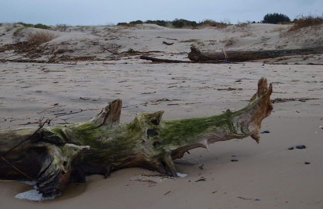 10 Person Holiday Home in Bindslev-by Traum - Foto 9