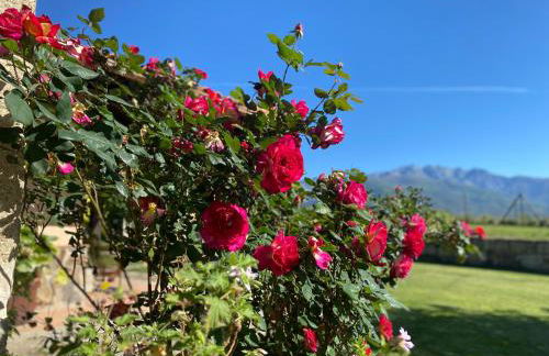 La Casa De Marta - Foto 19