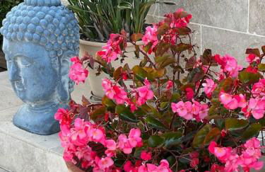 Exclusive Luxury Villa in Valbonne - Foto 60