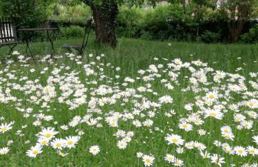 Haus Rosenbusch - Foto 18