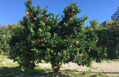 Tenuta Lanza Il Mulino - Foto 100