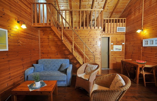 Nofim Belavan - Photo 11