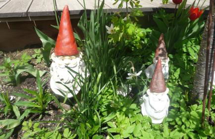 Appartement Pichler - Foto 23