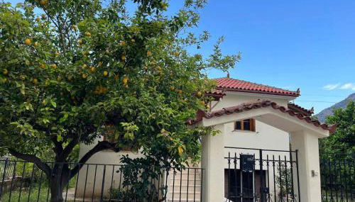 Lemon Tree House - Foto 3