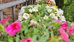 Da Simone podere santi Lucia e Pietro - Foto 4