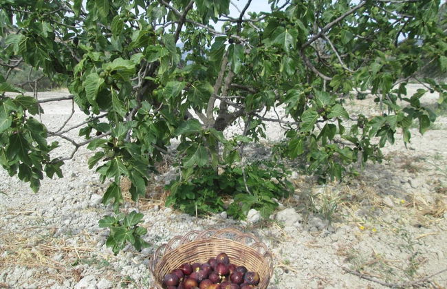 Agriturismo Donna Beatrice - Photo 38