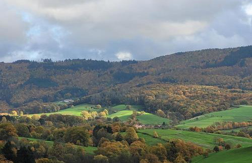 Ferienhaus auf dem Lusitanohof Jäger - Foto 12