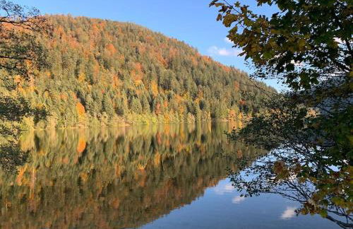 Chalet des Jonquilles - Au calme, bordant la forêt - Foto 31