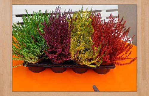 LES LILAS - Foto 23