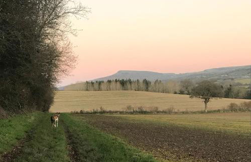 Leverets - Squirrel Lane Lodges Ludlow - Photo 18