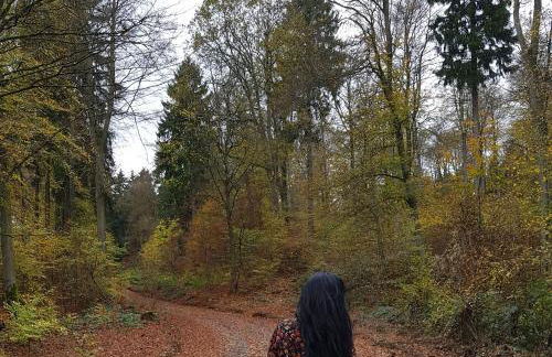 Apartment Am Sternberg 236 - Foto 20