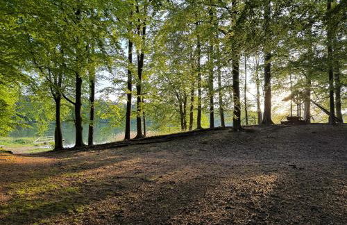 Łąkowy Zakątek Rybakowo - Foto 28