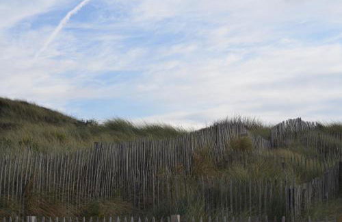 La villa dans les pins - Photo 42