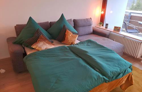 Schwarzwald-Traum mit Pool und Sauna - Foto 37