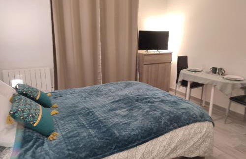 studio cosy la Dacquoise centre-ville internet haut-débit - Foto 6