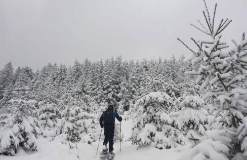 Ferienwohnung Sunnenviul - Foto 31