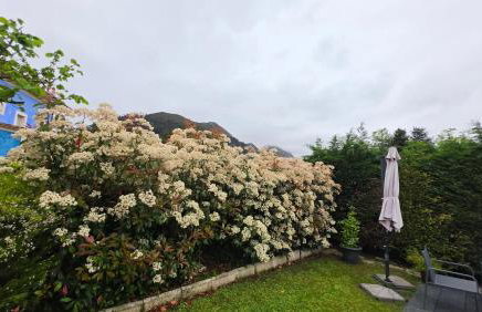 Apartamentos Les Texuques II - Foto 11