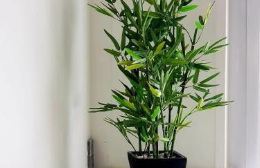 Le Chat d'Or - Grande cuisine - Foto 6