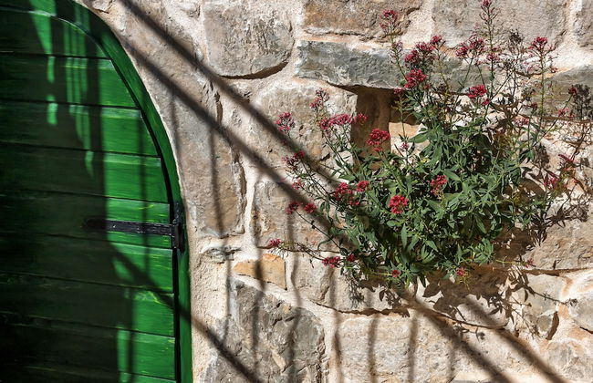 Villa Topolinath Pool - Foto 53