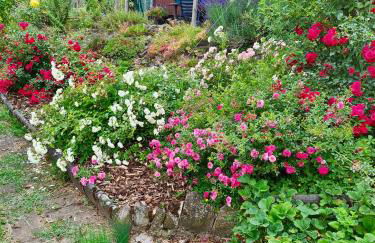 Ferienwohnung Kespergarten - Foto 32