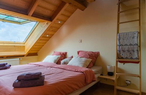 Colmar Friends and Familly guest home - ALL INCLUSIVE - COLMAR Gare - Jardin - Combles et Vous - Foto 17