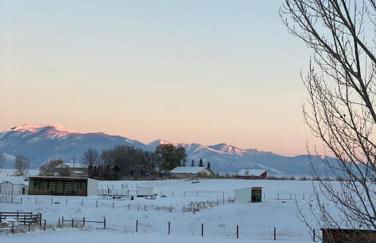 Silver Ranch - Foto 21