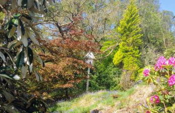 Granite Croft - Foto 34