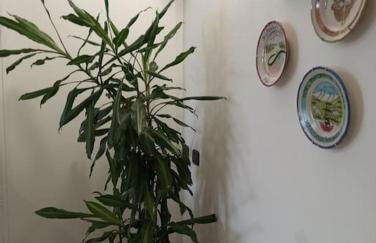 Le Betulle - parte di casa - mono attrezzato - Foto 22