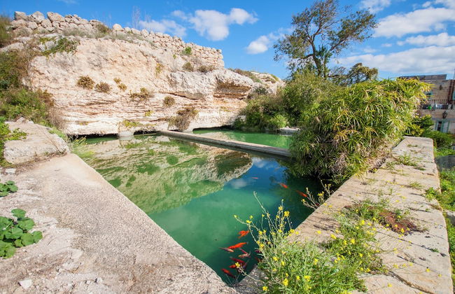 Pool & SPA - Wellness Villa St Martin - Foto 12