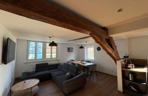 Apartmenthaus Alte Scheune Gunzenhausen - Foto 56