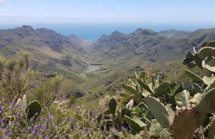 La Casita de Omar en el corazón de Anaga y La Laguna - Foto 46