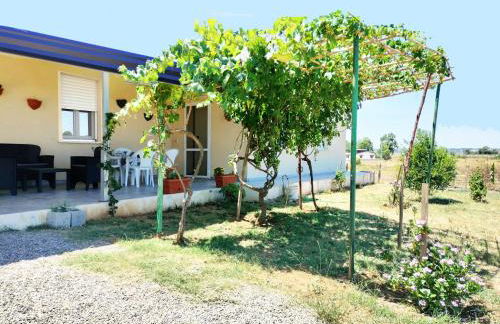 La GreenHouse - Isola di Capo Rizzuto - Foto 31